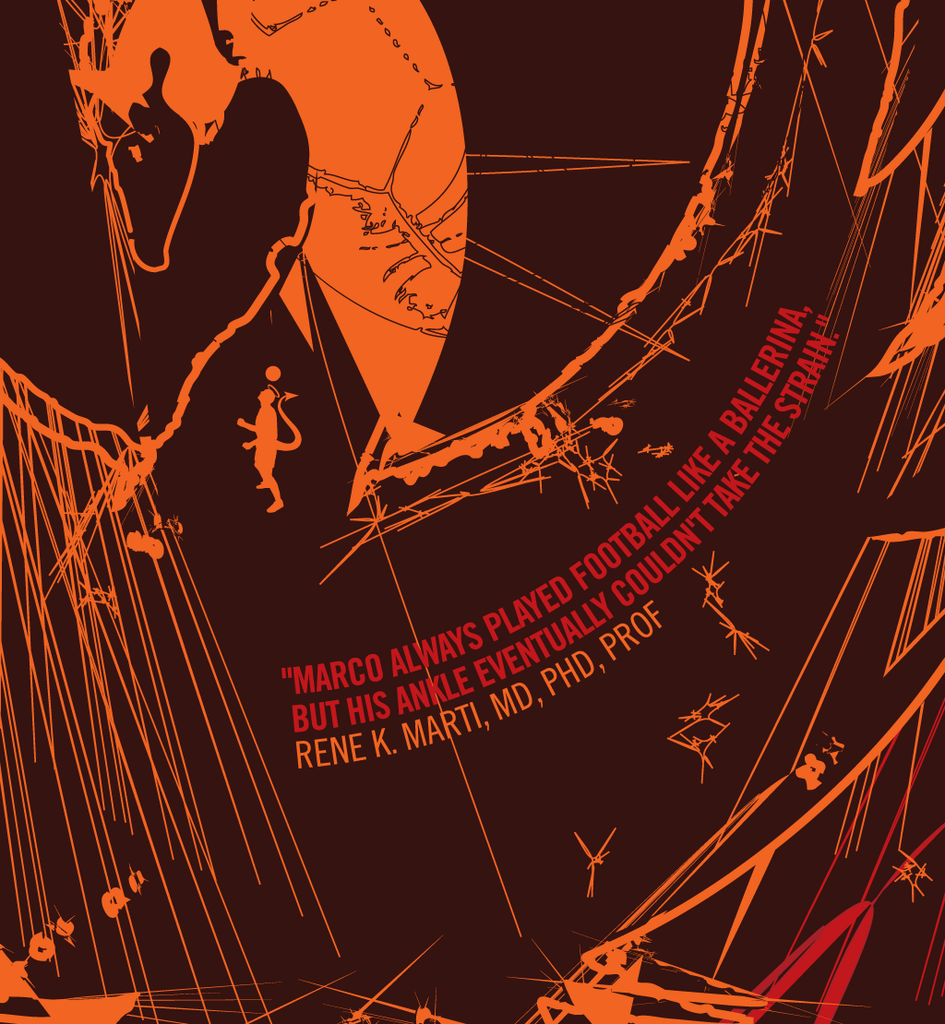 Marco van Basten - The Swan of Utrecht (Art Print)