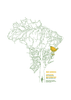 Mane Garrincha - Brazil's Little Bird