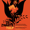 Ruud Gullit - The Black Tulip